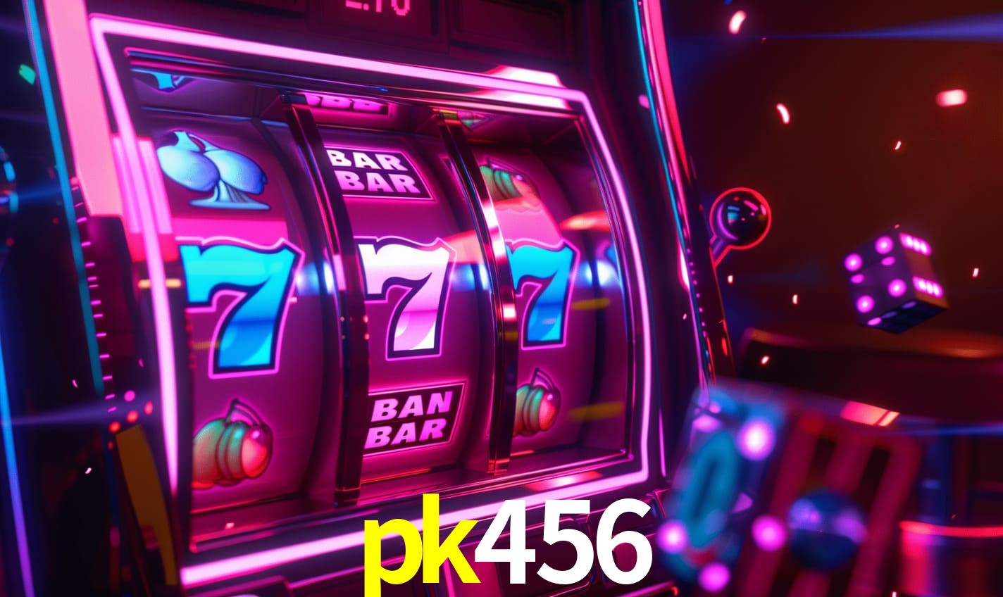 Programa VIP pk456