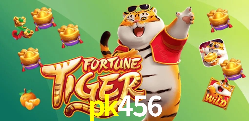 Player Reviews pk456